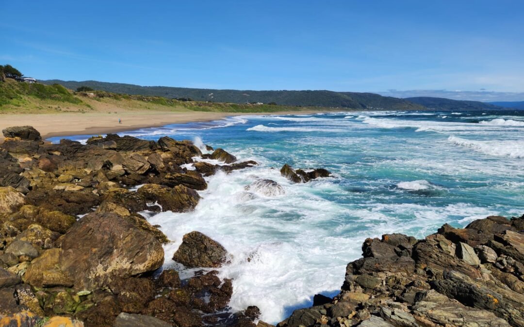 Playa de Curiñanco: guía completa para visitarla desde Valdivia